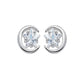 CZ Star In A Half Moon Stud Earrings