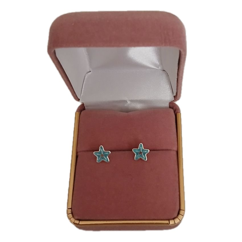 Sterling Silver Blue Star Earrings(2)