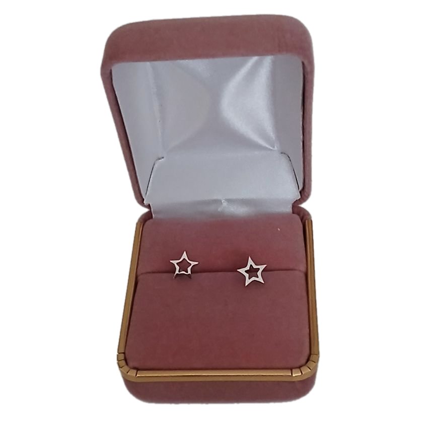 Surgical Steel Star Earrings(2)